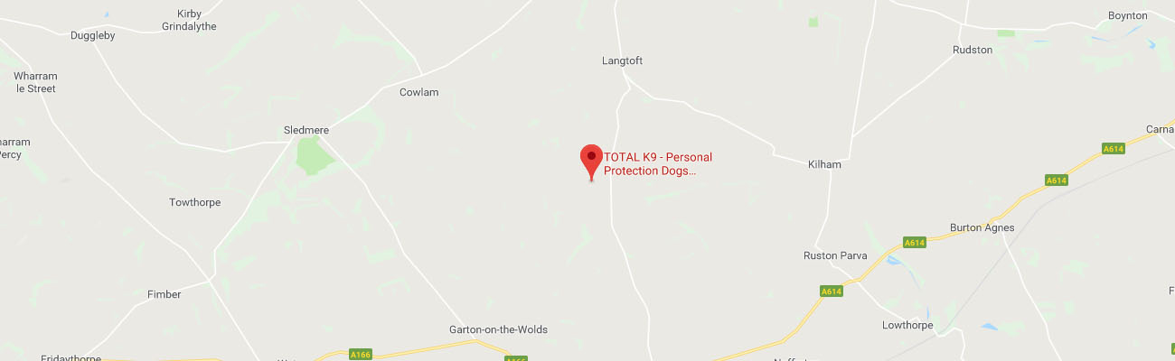 total k9 google map