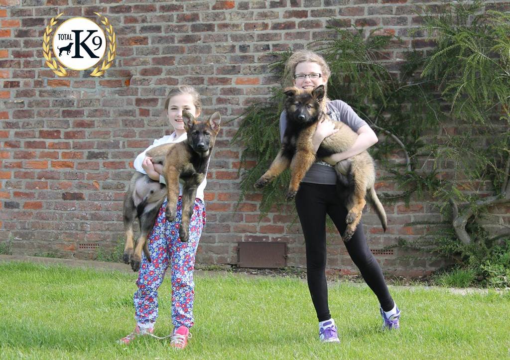 TOTAL K9 ® - Perfect Puppies - Excellent Manners TOTAL K9 ® - Perfect Puppies - Excellent Manners