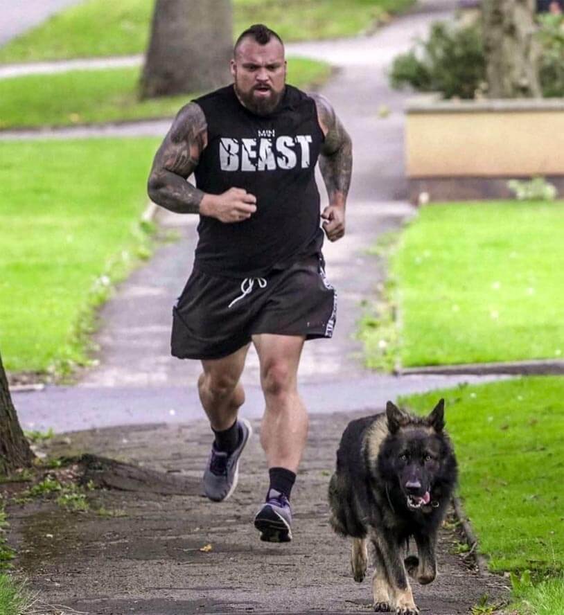 dog trained reviews TotalK9 2