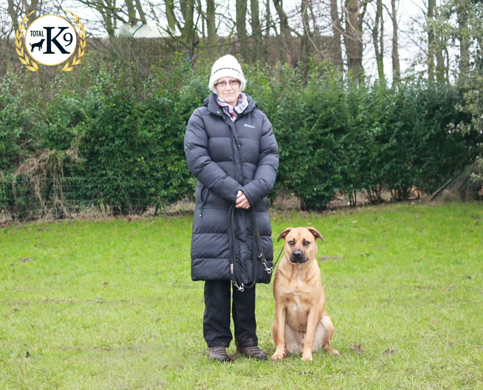 one to one dog training Rosemary and Bobby