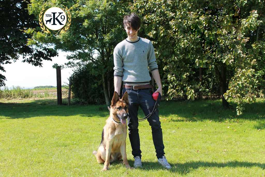 One to One Dog Training 1