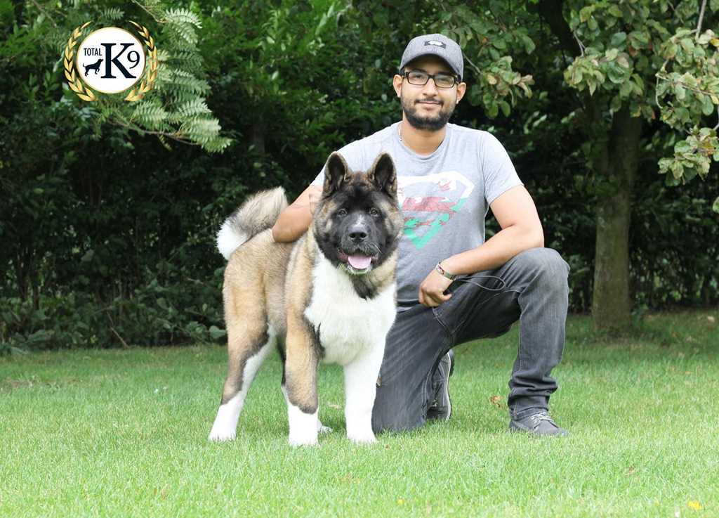 TOTAL K9 ® - One to One Dog Training Man 2