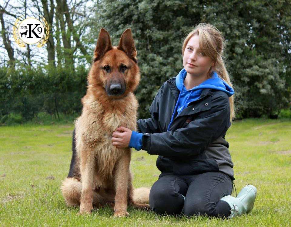 TOTAL K9 ® - One to One Dog Training Girl