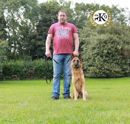 Simon testimonial protection dogs