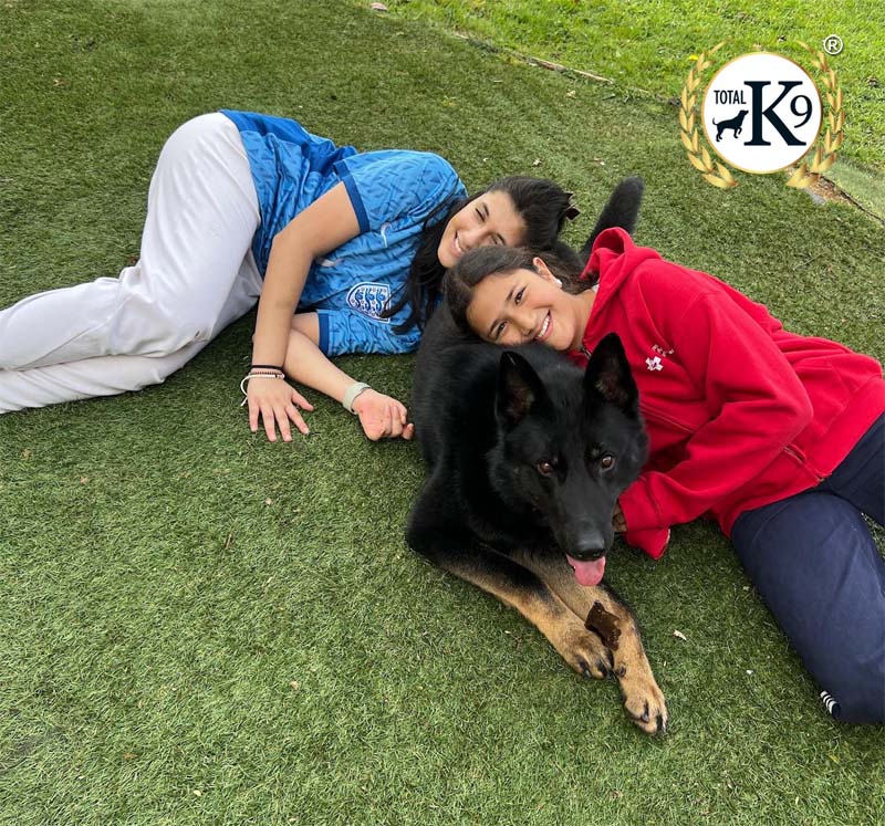 dog trained by TotalK9 3a review