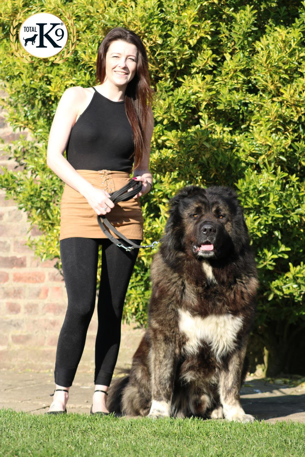 woman training a big dog at TOTAL K9