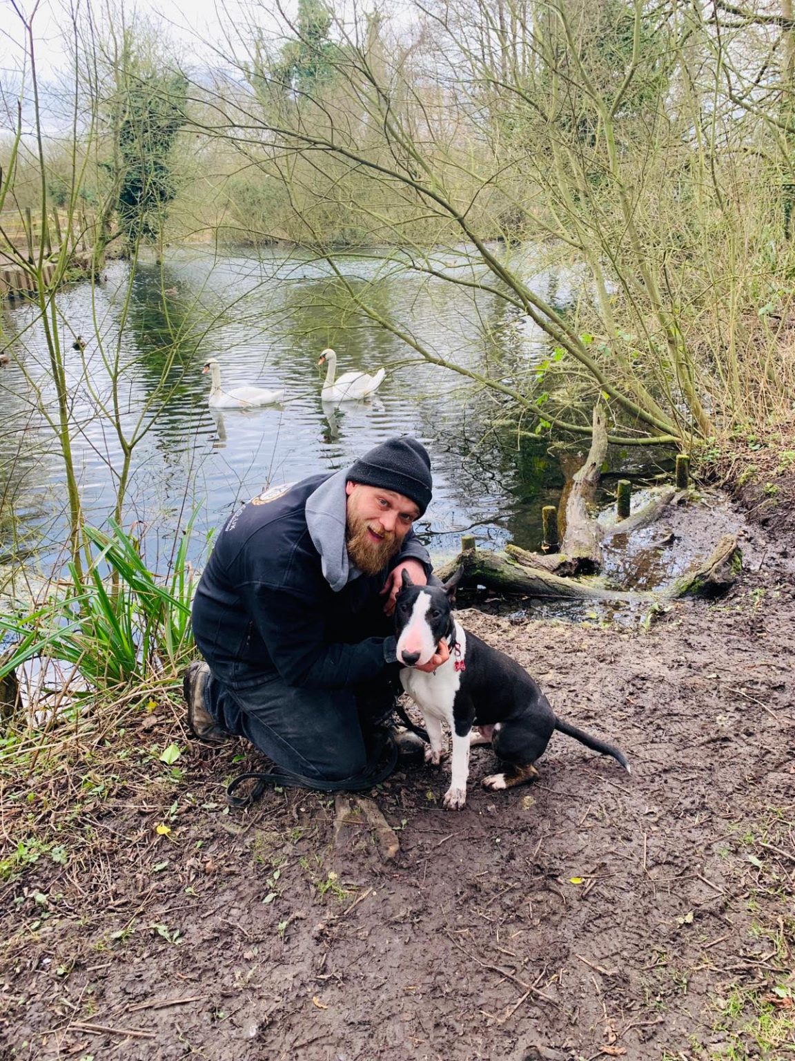 Our guide to dog training bootcamps Protection dogs