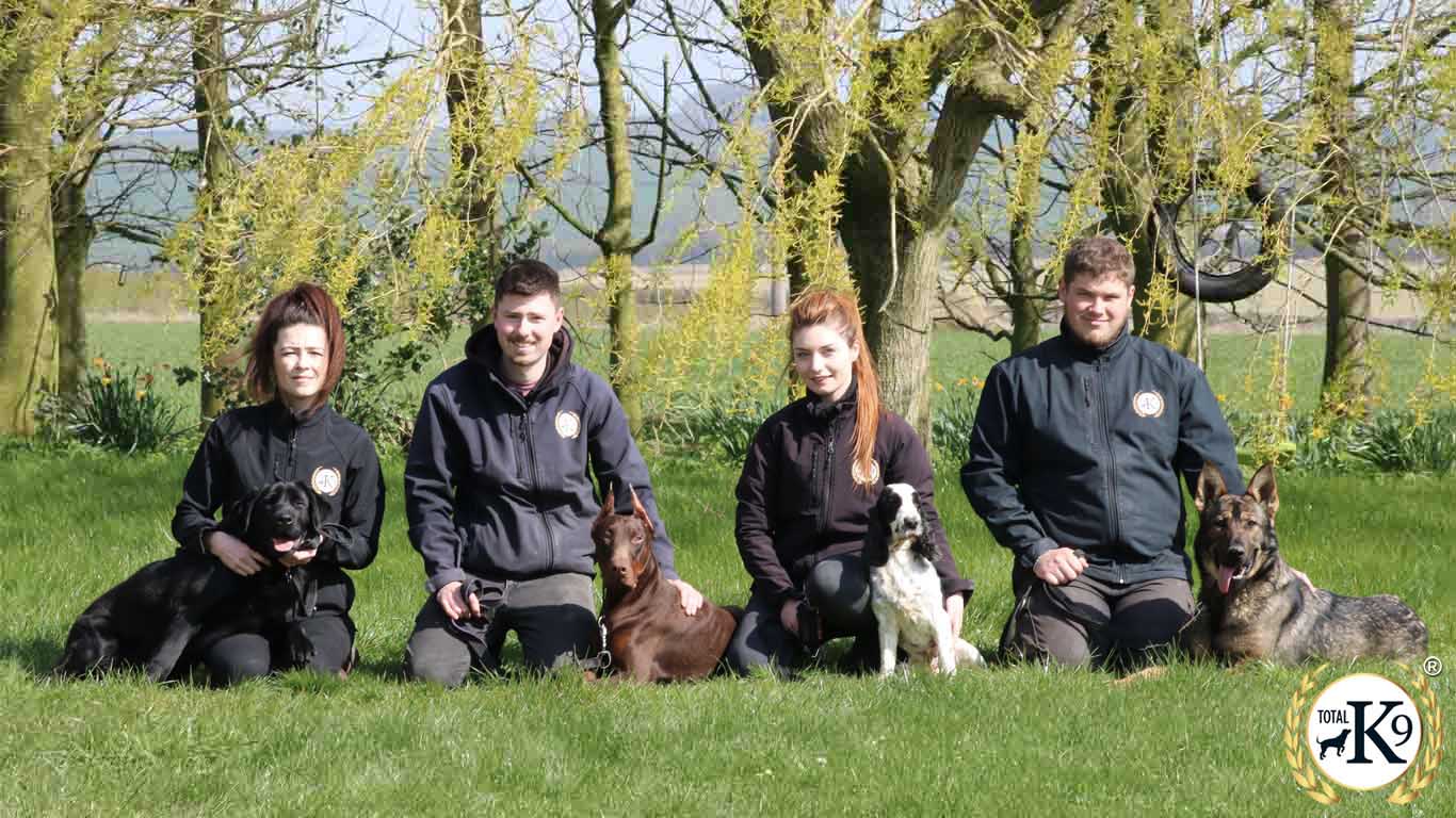 dog training team total k9