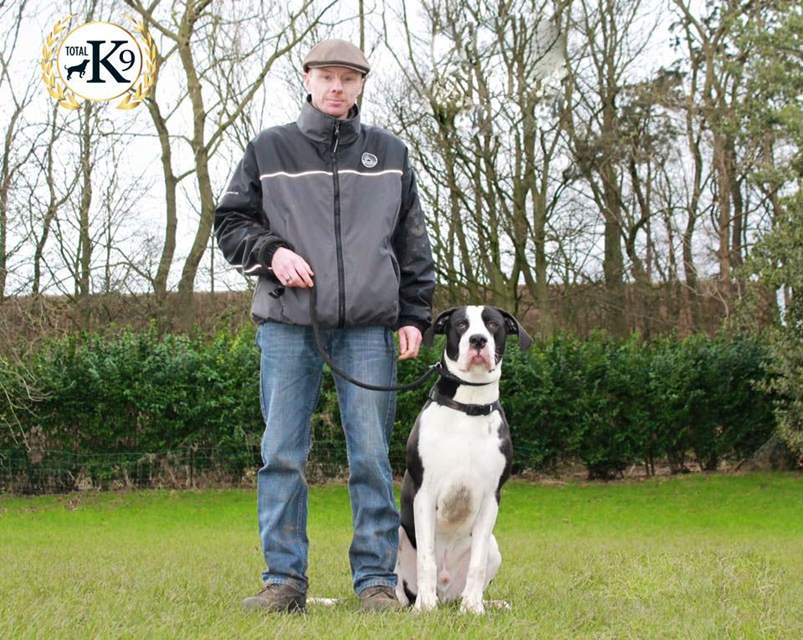 one to one dog training Ian and Moo